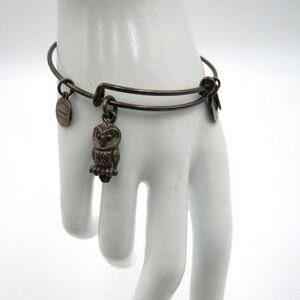 Alex And Ani Owl‎ Charm Bangle Bracelet Rafaelian Silver Tone Adjustable Womens